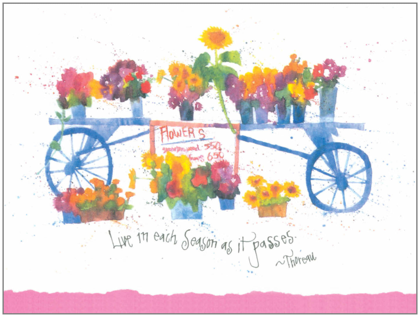 FR4112 Blank Note Cards