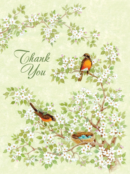 FR4117 Blank Note Cards
