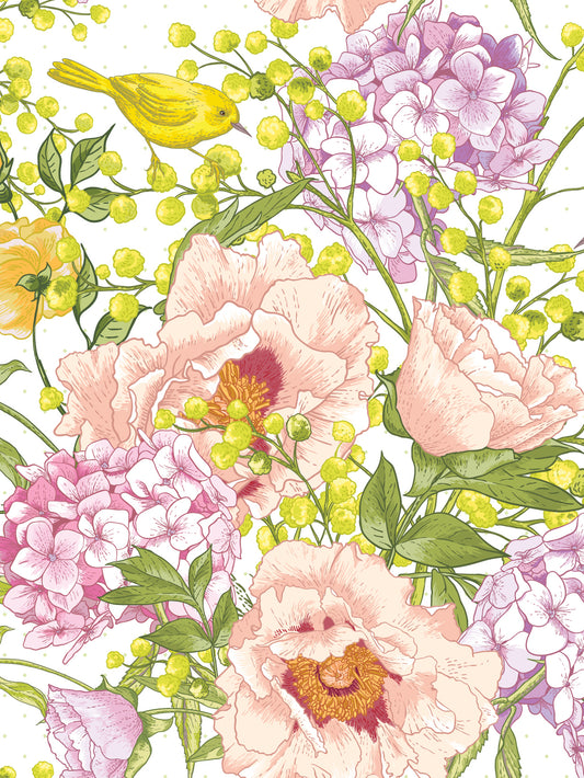 FR4118 Blank Note Cards