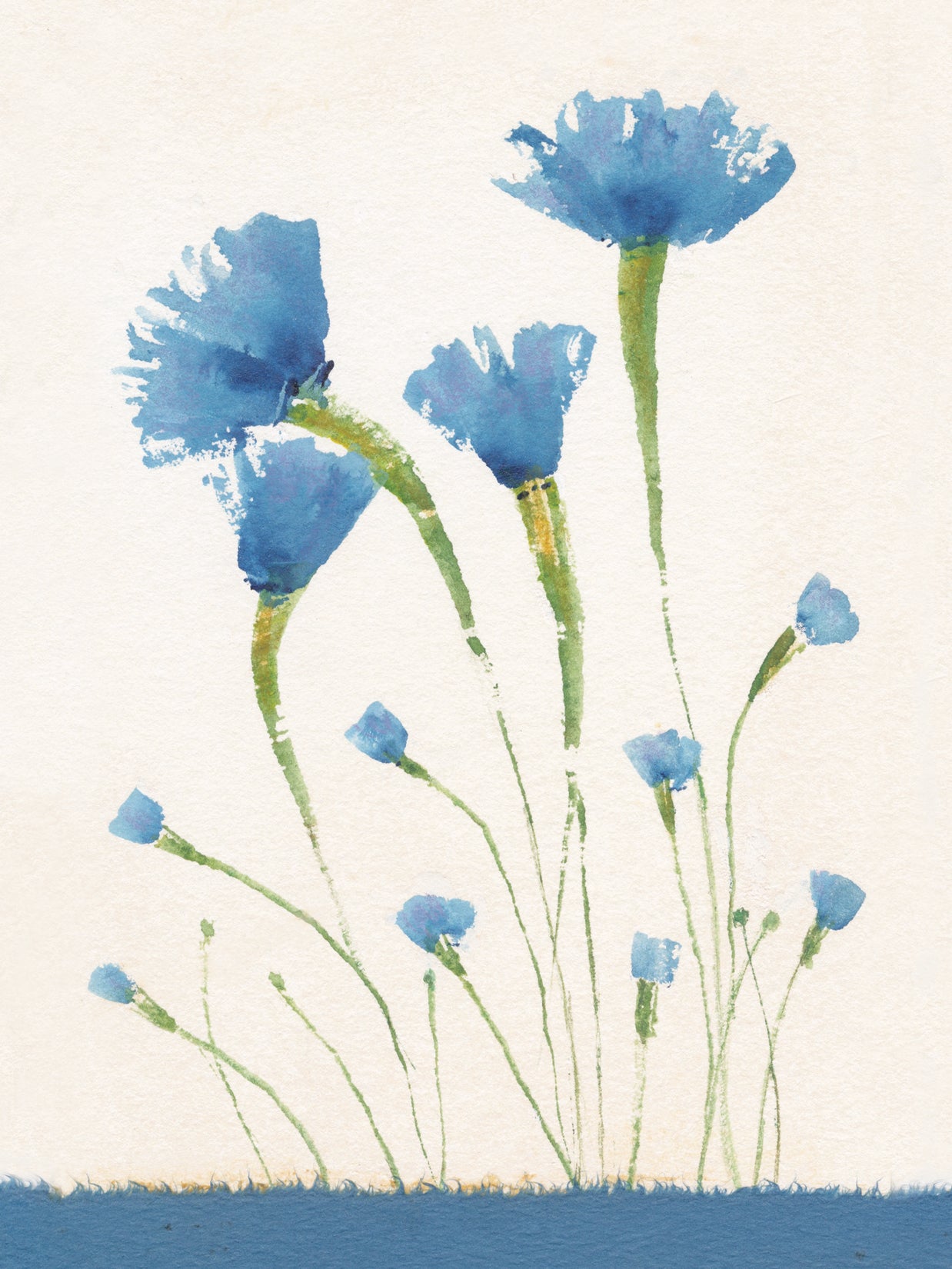 FR4119 Blank Note Cards