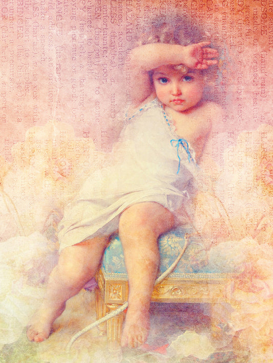 FR4153 Blank Note Cards