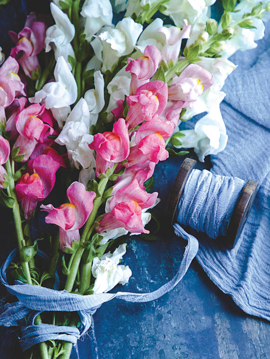 FR4154 Blank Note Cards