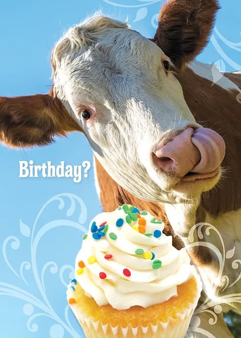 FR4733 Birthday Card