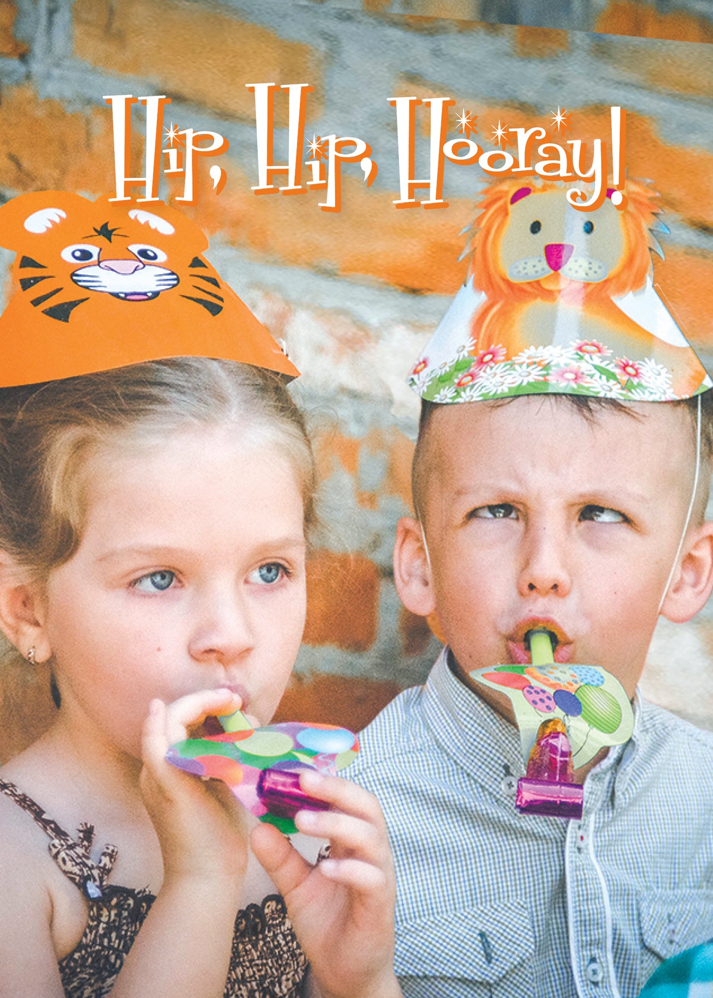 FR4808 Birthday Card