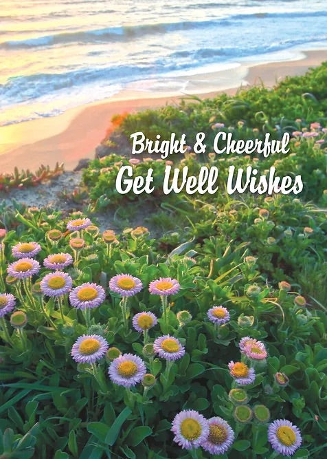 FR7139 Get Well Card