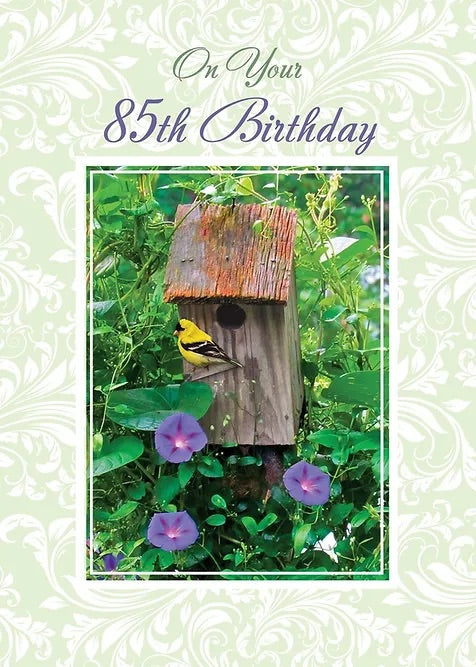 FR8403 Milestone Birthday Card / 85