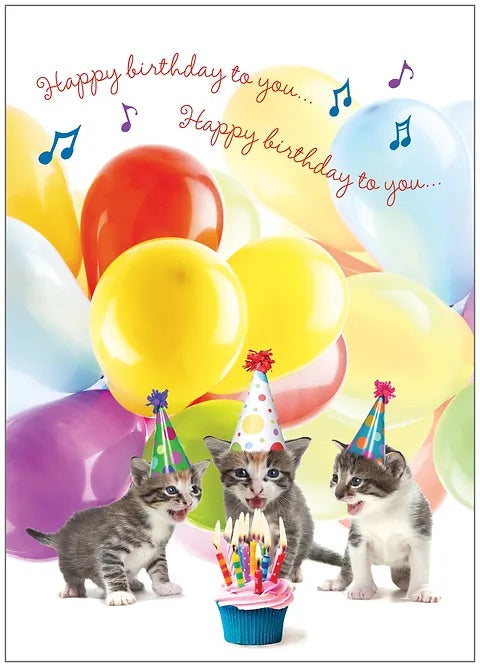 FR8718 Birthday Card