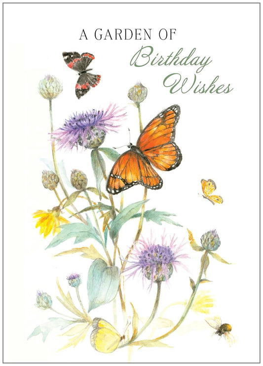 FR8879 Birthday Card