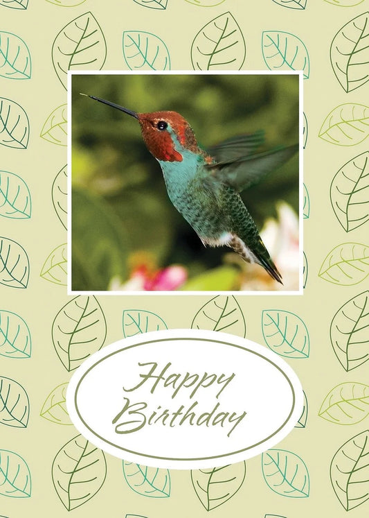 FR8896 Birthday Card