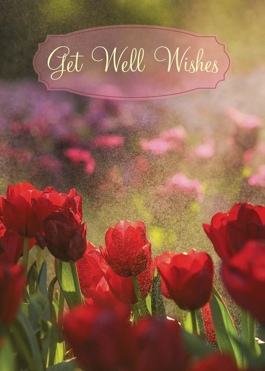 FR9311 Get Well Card