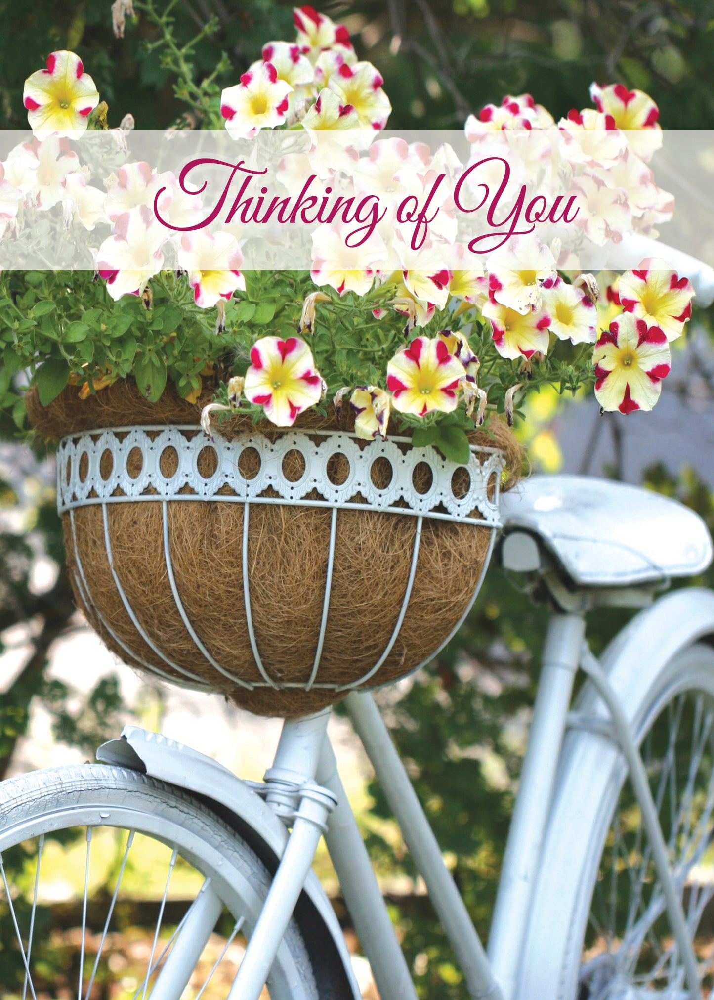 FR9340 Thinking of You Card