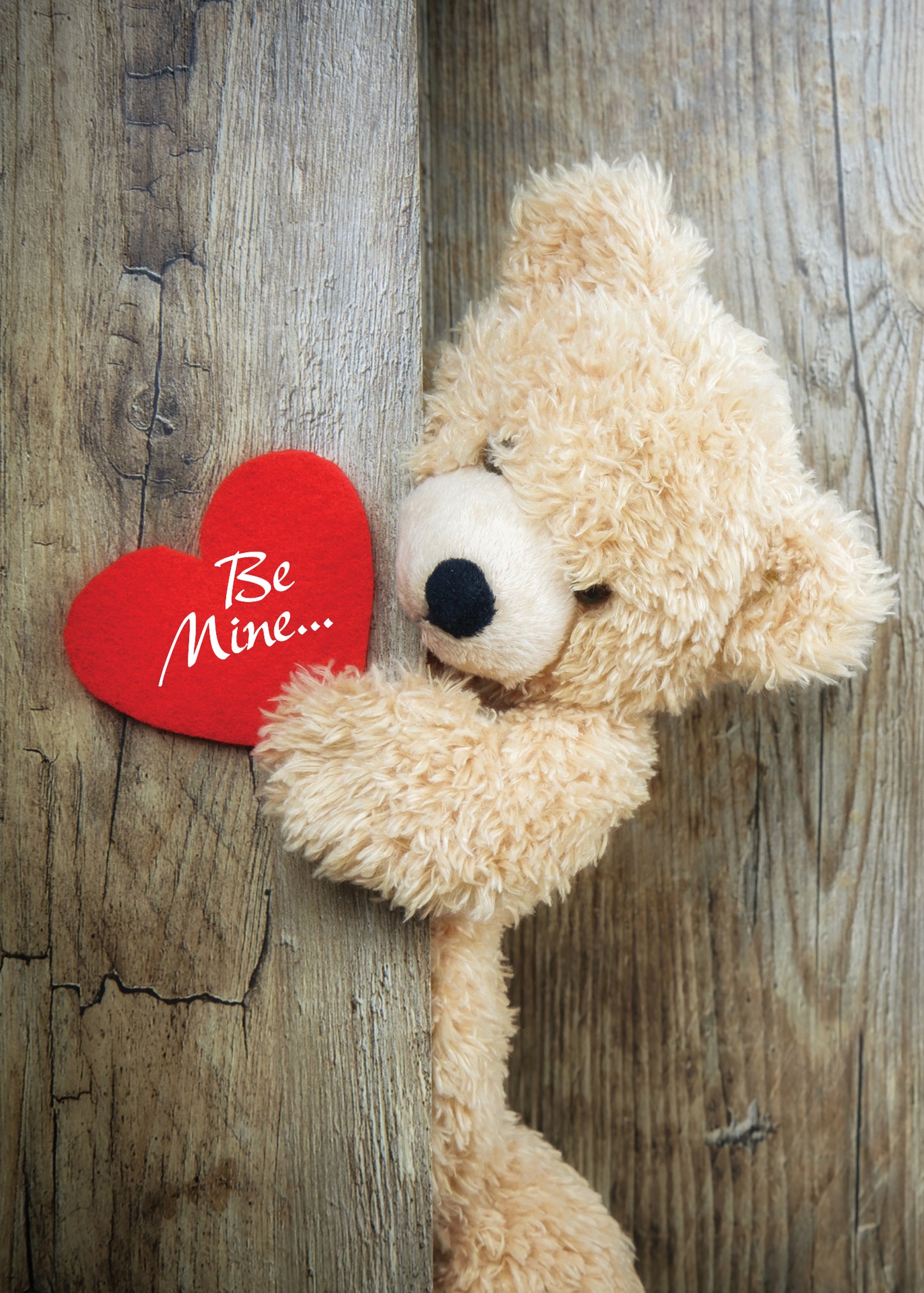 PFRS3347 Valentine Card Premium