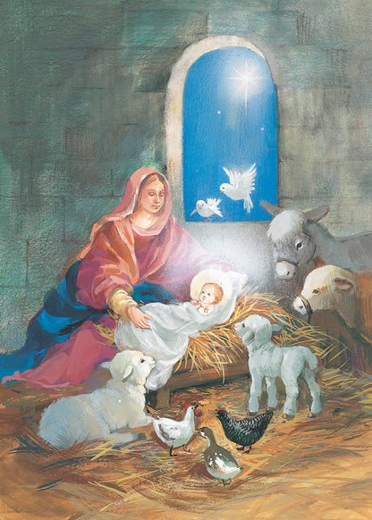 FRS4050 Christmas Card