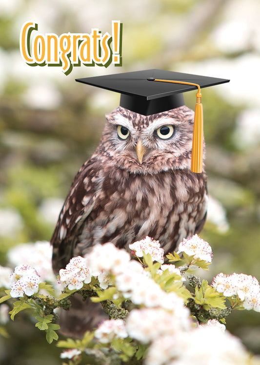 PFRS4452 Graduation Card Premium