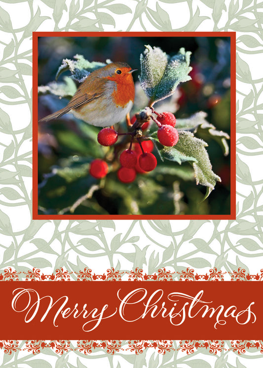 FRS541 Christmas Card Boxed