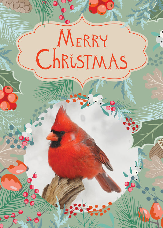 FRS546 Christmas Card Boxed