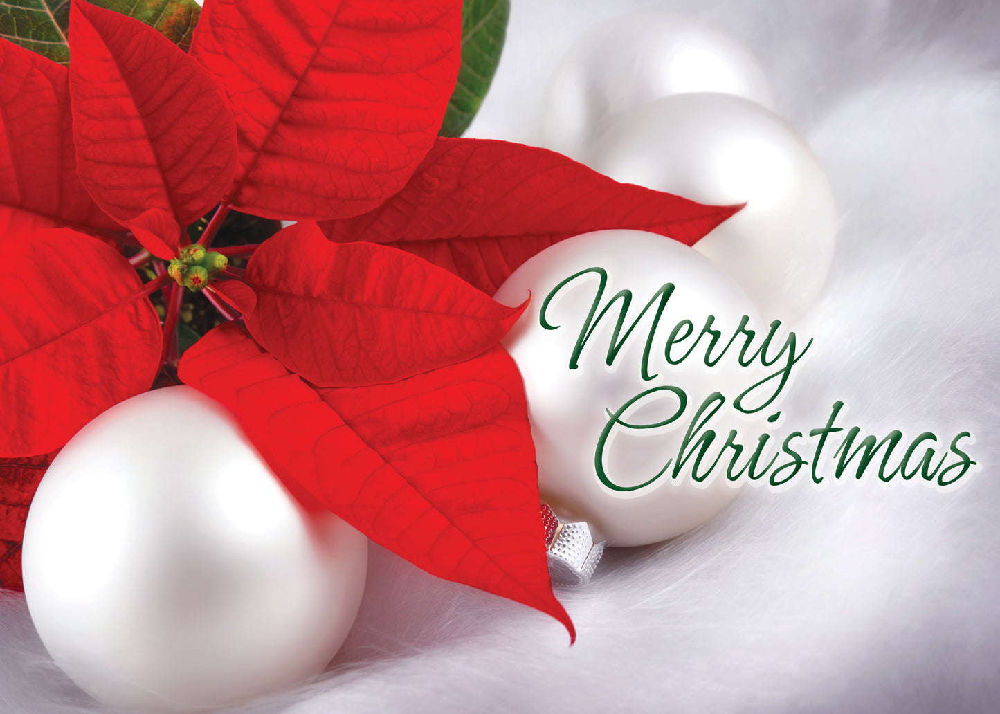 FRS5161 Christmas Card