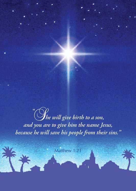 FRS729 Christmas Card Boxed