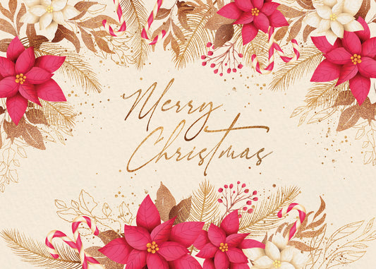 FRS757 Christmas Card Boxed