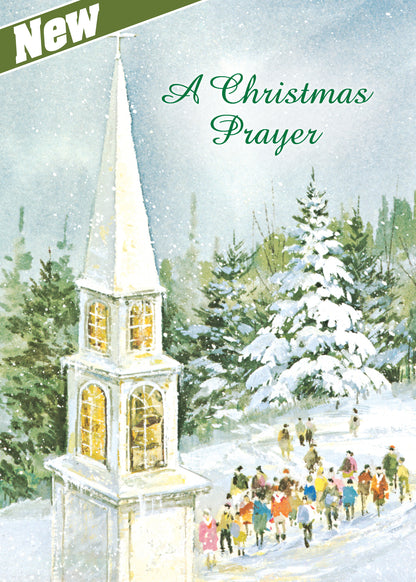 FRS 154 / 5282 Christmas Card