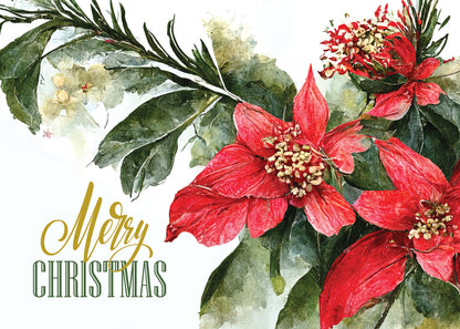 FRSBX148 Christmas Card Set