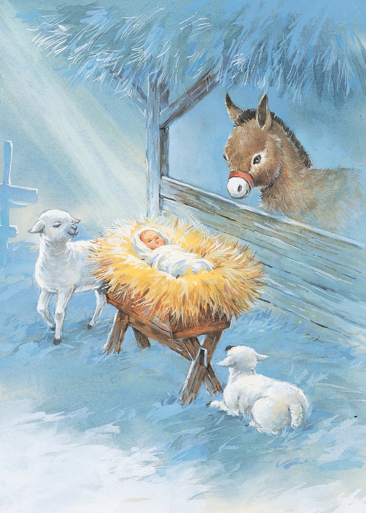 FRS221 Boxed Christmas Card