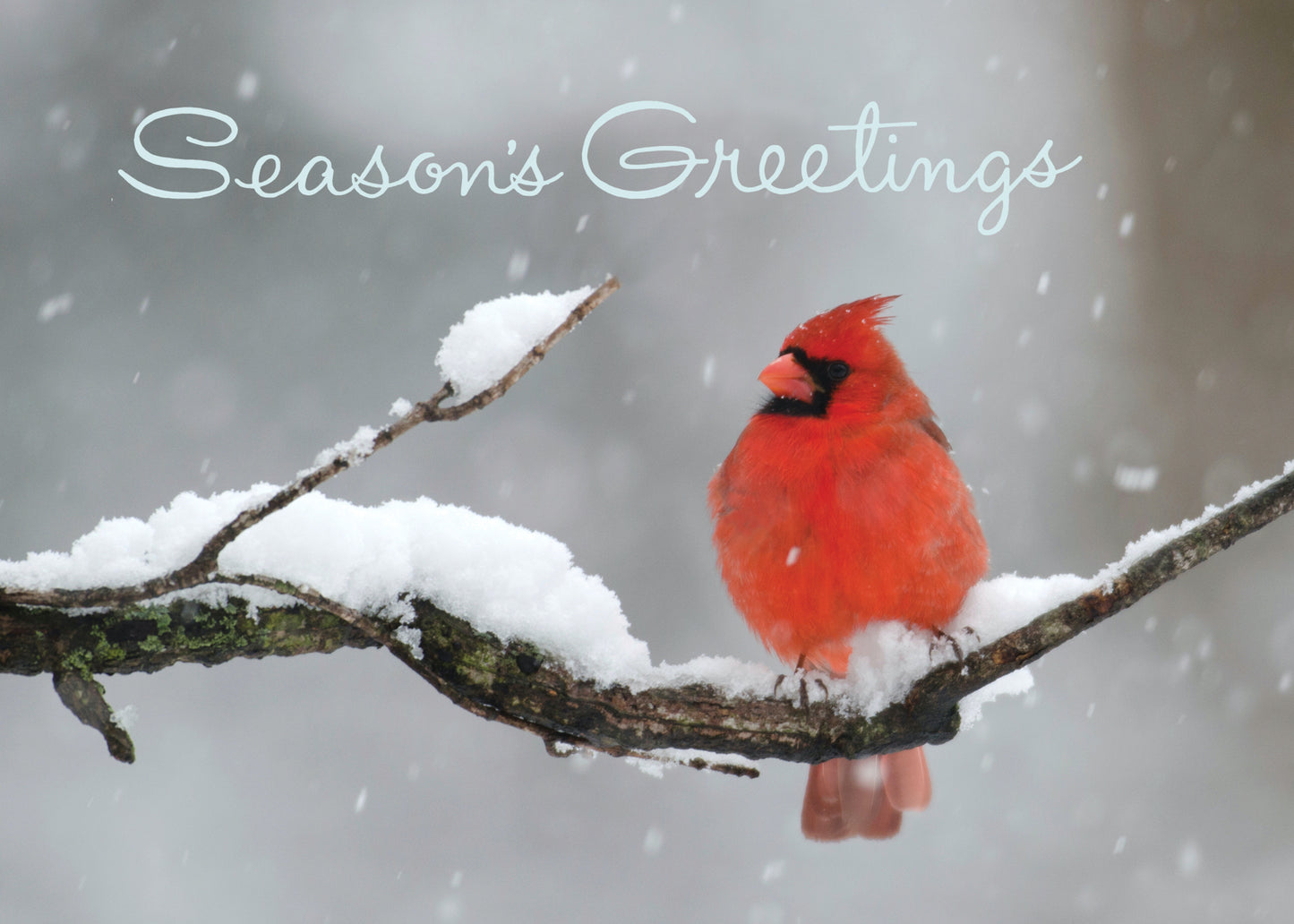 FRS6097 Christmas Card
