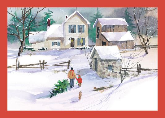 FRS798 Christmas Card Boxed