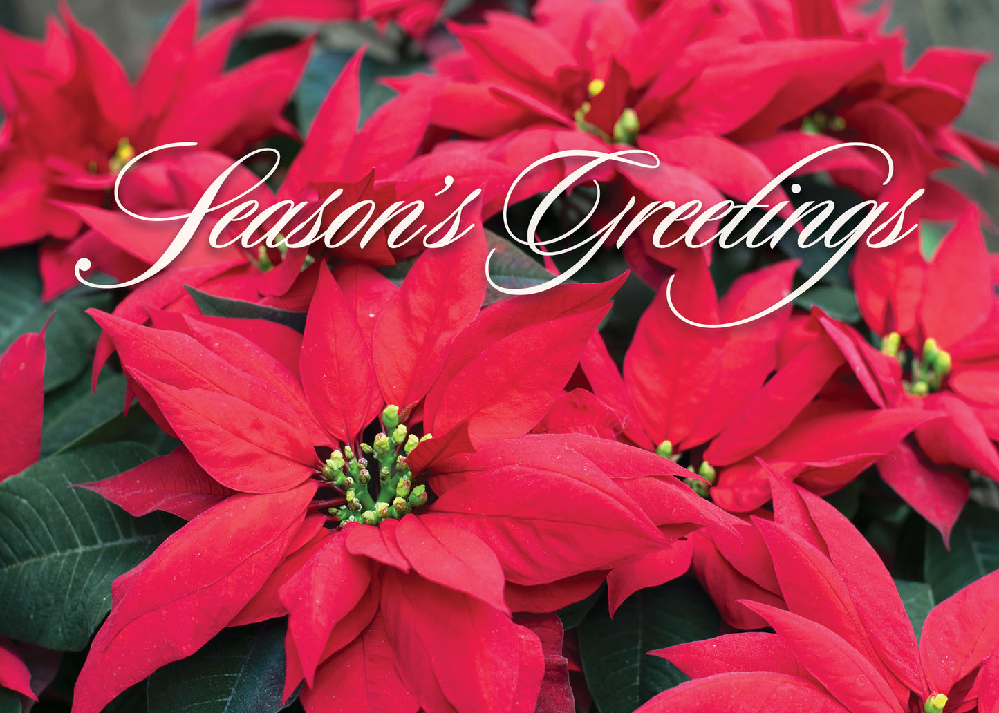 FRS6171 Christmas Card