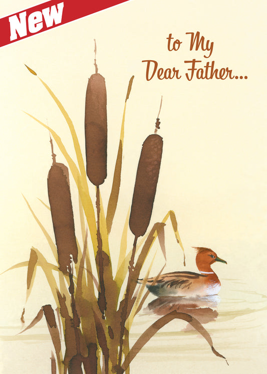 FRS6222 Father's Day Card