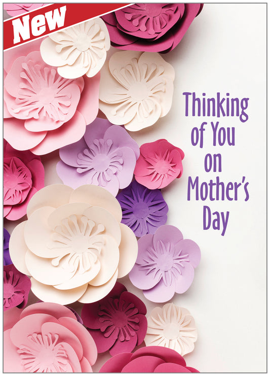 FRS6411 Mother's Day Card
