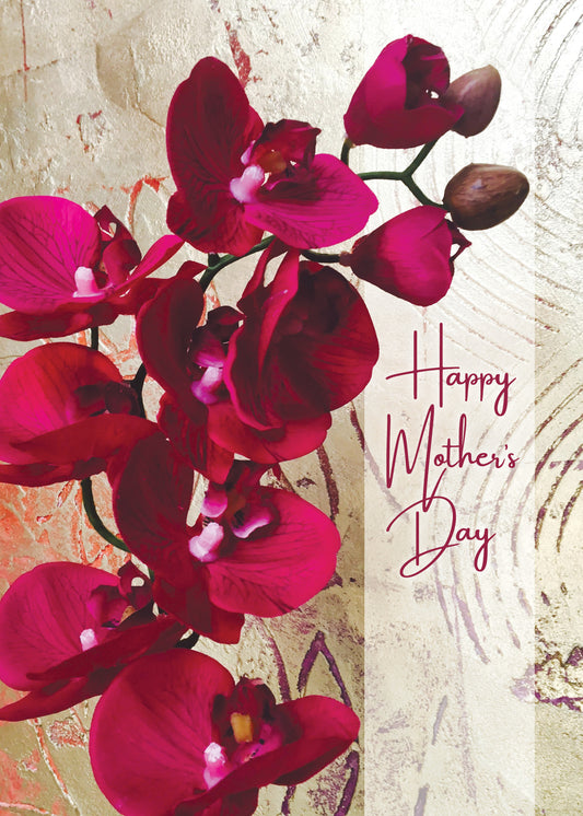 PFRS6426 Mother's Day Card Premium