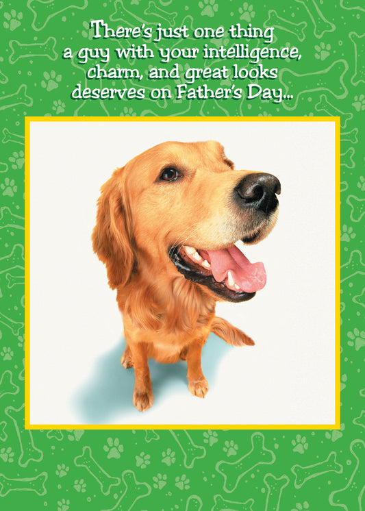 FRS6741 Father's Day Card