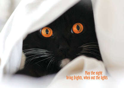 FRS7793 Halloween Card