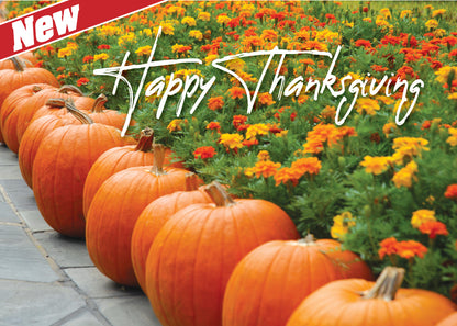 FRS 164 / 7989 Thanksgiving Card