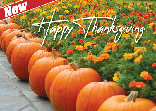 FRS 164 / 7989 Thanksgiving Card