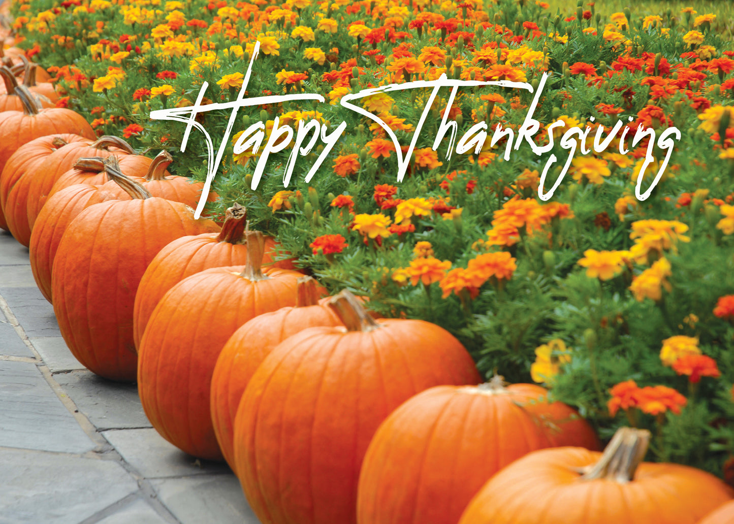 FRS 164 / 7989 Thanksgiving Card