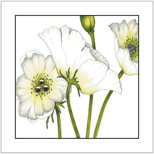 SEH GGE003 - Ivory Poppy