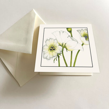 SEH GGE003 Gift Enclosure