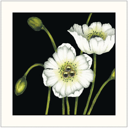 SEH GGE004 Gift Enclosure