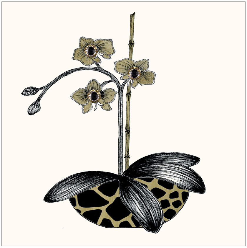 SEH GGE166 Gift Enclosure