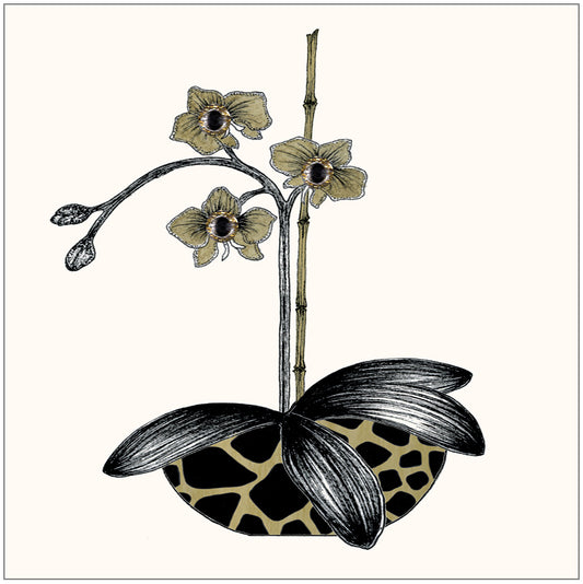 SEH GGE166 Gift Enclosure