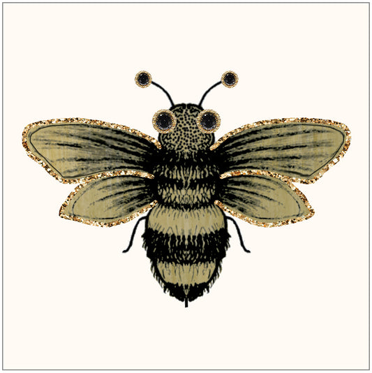 SEH GGE184 Gift Enclosure