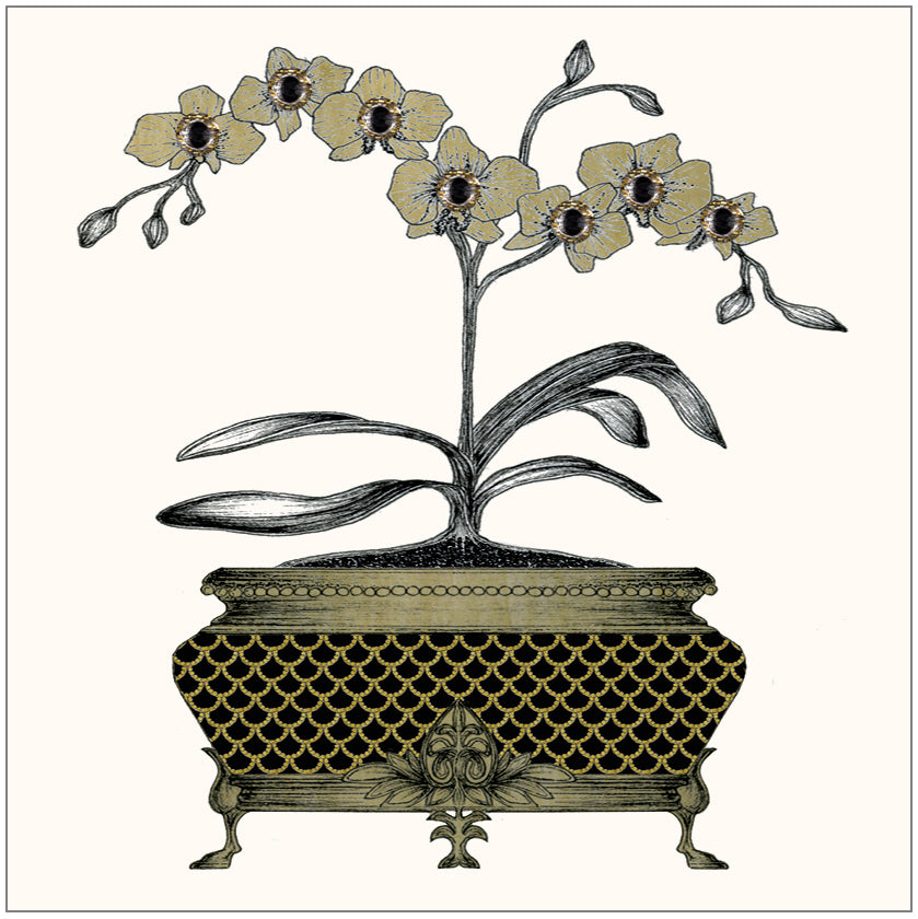 SEH GGE191 Gift Enclosure