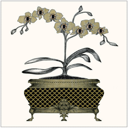 SEH GGE191 Gift Enclosure