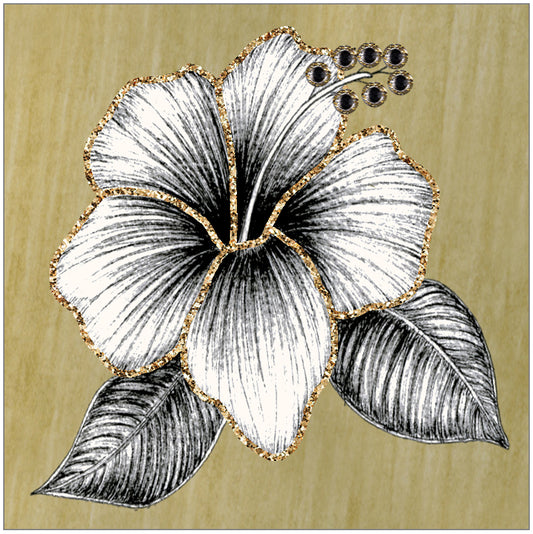 SEH GGE193 Gift Enclosure