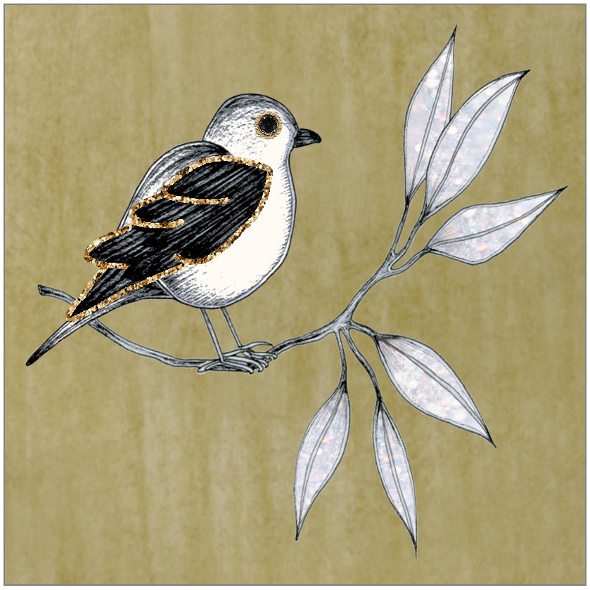 SEH GGE206 Gift Enclosure