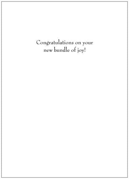 NT132 Congrats Baby Card