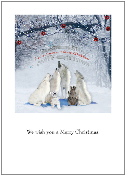 NTSBX202 Christmas Card Boxed