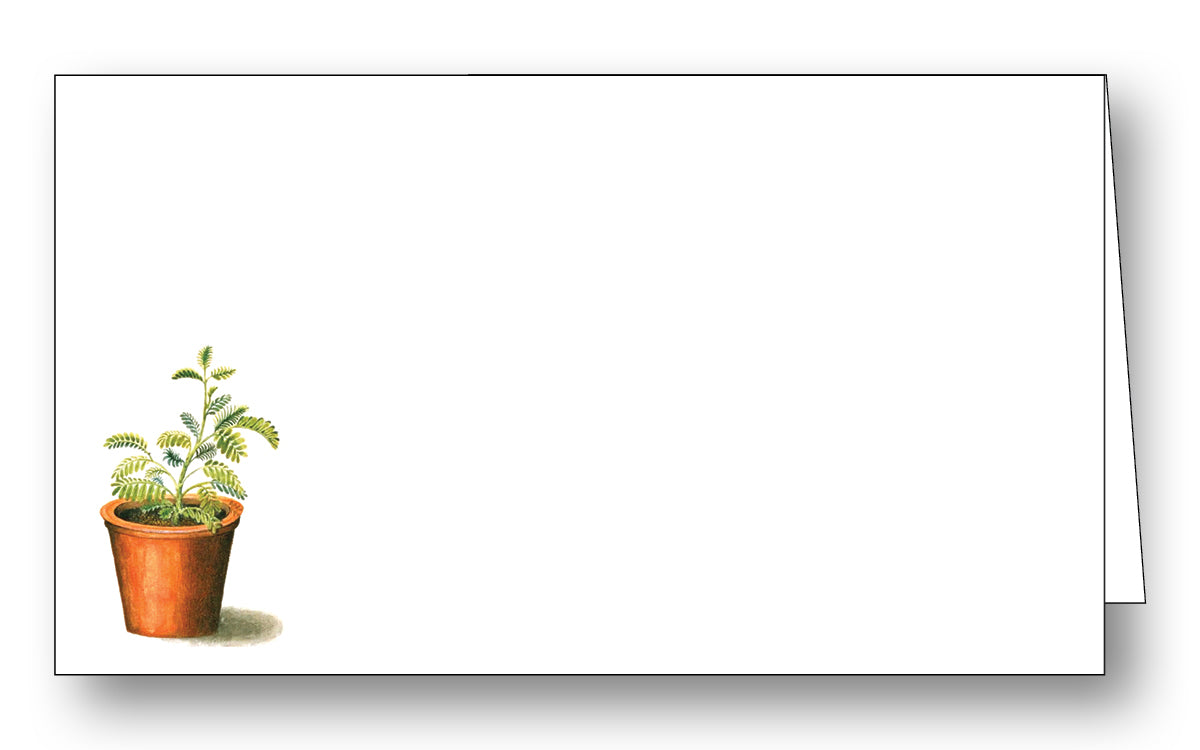 Potted Plant Place Card